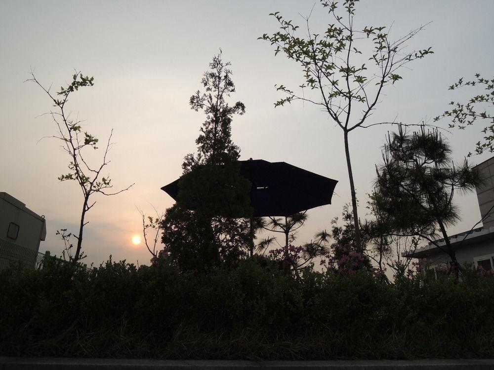 K-Guesthouse Sinchon 2 Seul Dış mekan fotoğraf